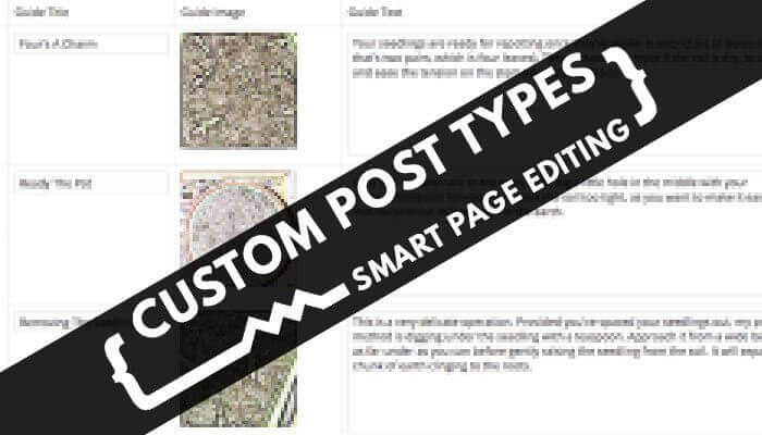 custom post types explained